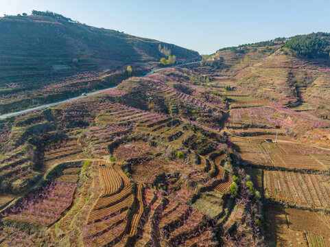 蒙阴岱崮地貌桃花节