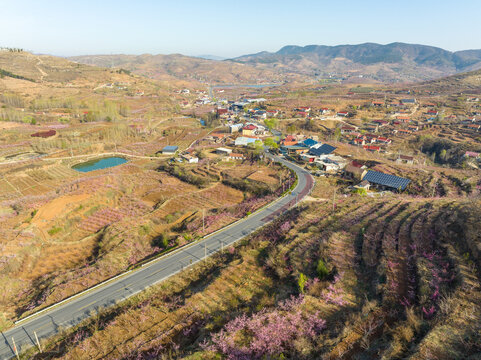 蒙阴岱崮地貌桃花节