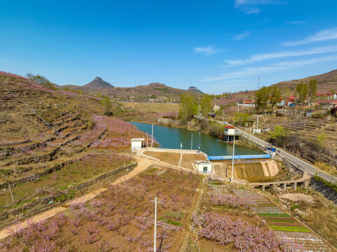 蒙阴岱崮地貌桃花节