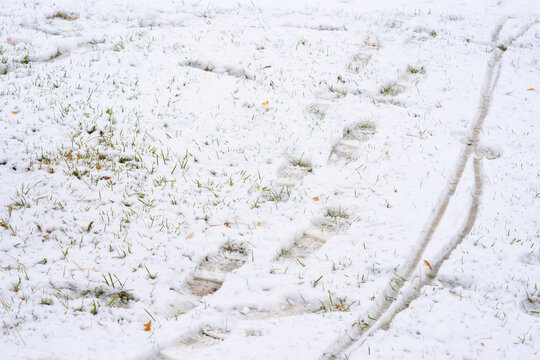 雪地