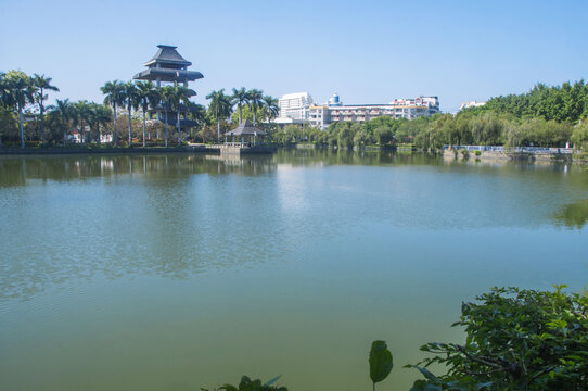 漳浦西湖湖水