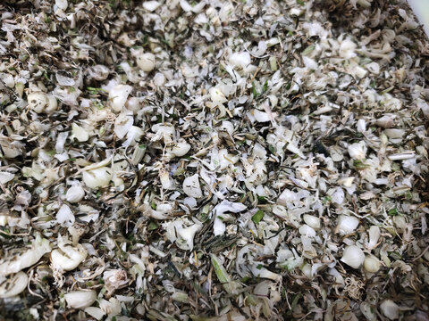 野藠