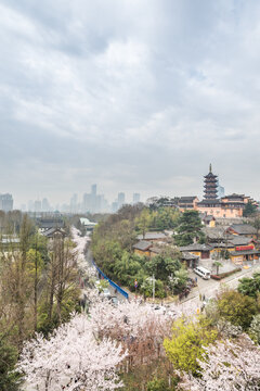 樱花季的南京明长城和鸡鸣寺