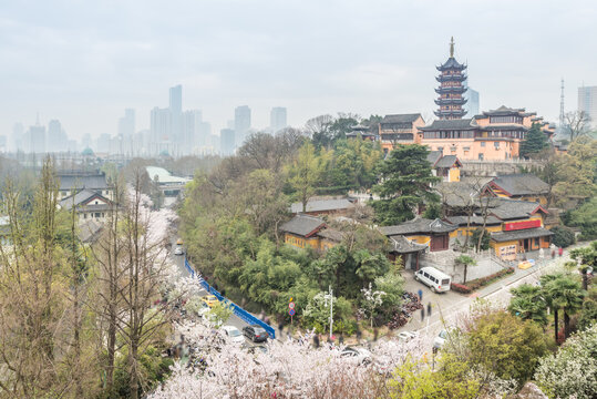 樱花季的南京明长城和鸡鸣寺