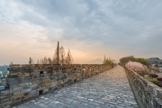 樱花季南京的玄武湖公园