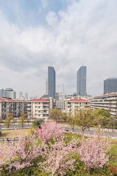 樱花季中国南京的城市风景