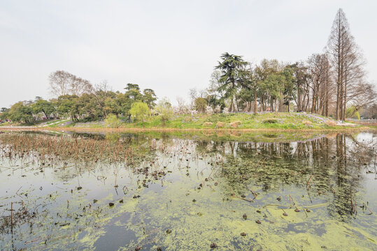 春天南京玄武湖公园风光