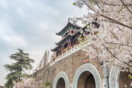 春天樱花盛开下的南京玄武门