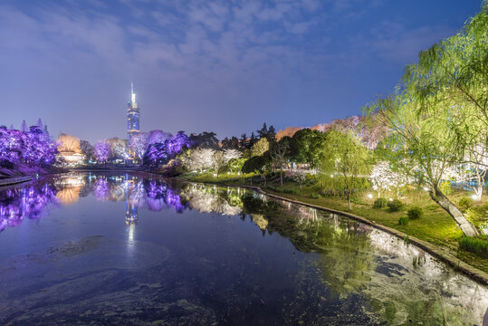 南京玄武湖公园夜景