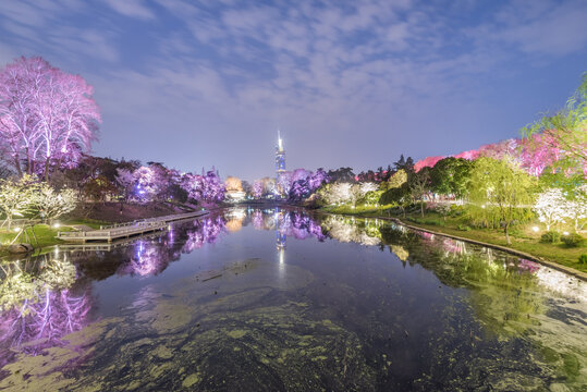 南京玄武湖公园夜景