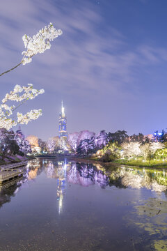 南京玄武湖公园夜景