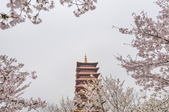 南京牛首山的樱花和古建筑