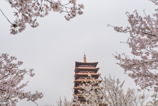 南京牛首山的樱花和古建筑