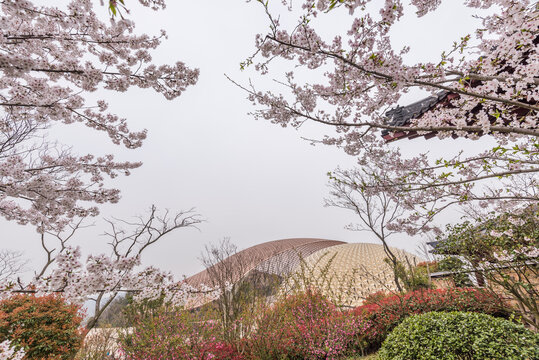 南京牛首山的樱花和古建筑