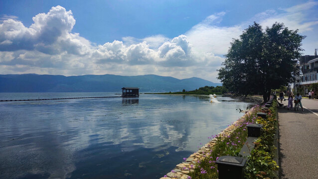 苍山湿地