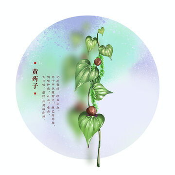 黄药子