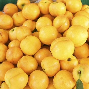 浅底上的黄油桃