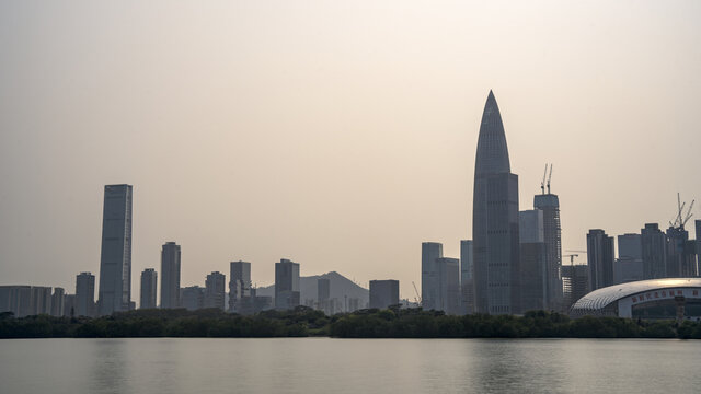 深圳湾建筑高楼