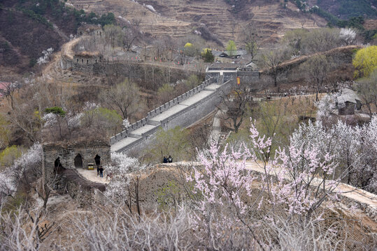 青山关古长城春季风光