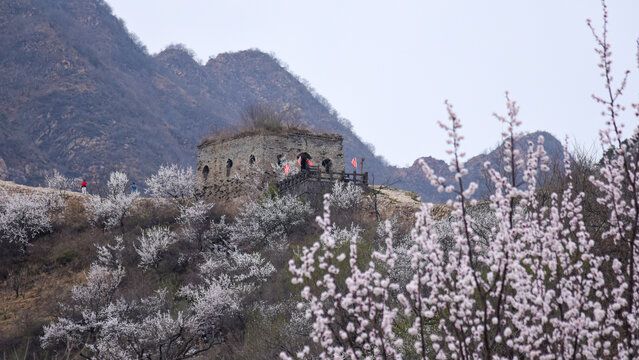 青山关古长城春季风光