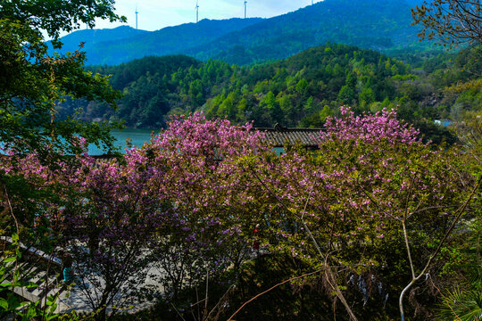 锦里沟景区