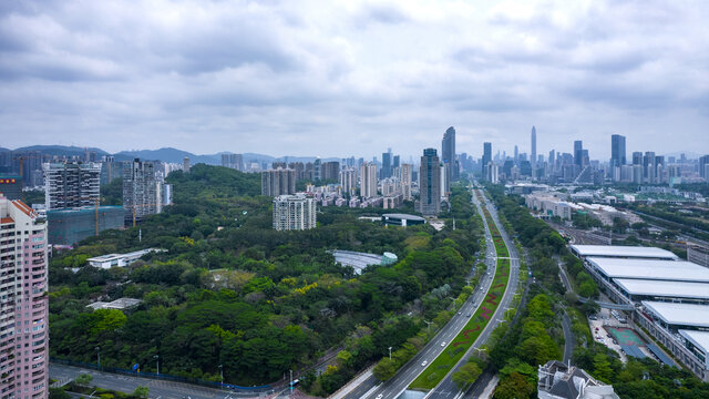 森林城市道路绿化深圳风光2