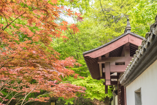 南京栖霞山枫叶古建筑