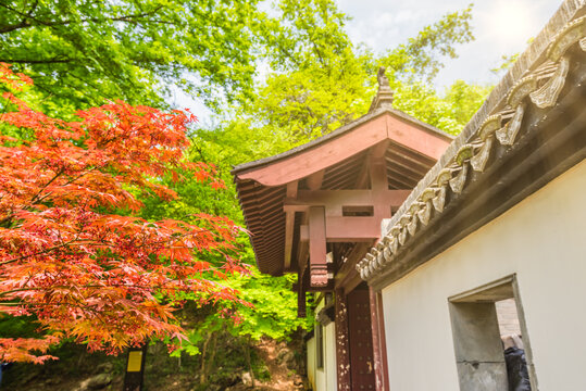 南京栖霞山枫叶古建筑