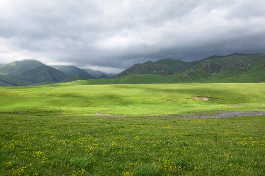新疆伊犁托乎拉苏草原风景