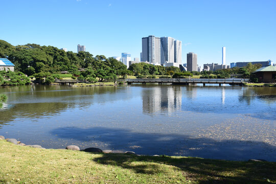 日本东京滨离宫恩赐庭园风景