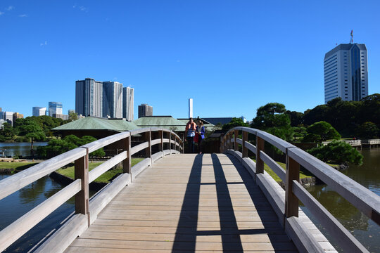 日本东京滨离宫恩赐庭园风景