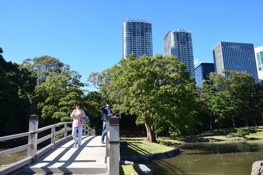 日本东京滨离宫恩赐庭园风景