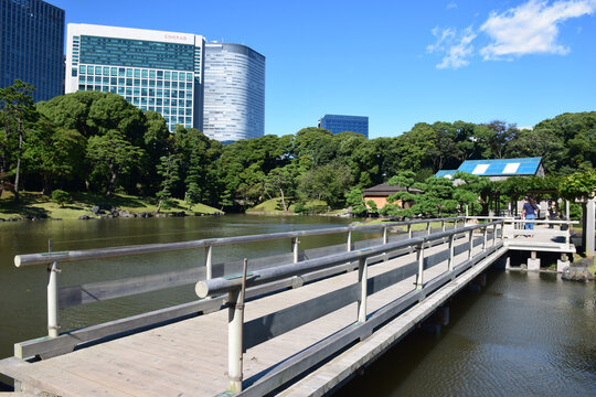 日本东京滨离宫恩赐庭园风景