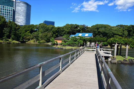 日本东京滨离宫恩赐庭园风景