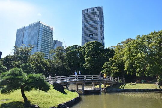 日本东京滨离宫恩赐庭园风景