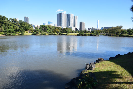 日本东京滨离宫恩赐庭园风景