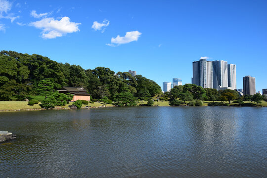 日本东京滨离宫恩赐庭园风景