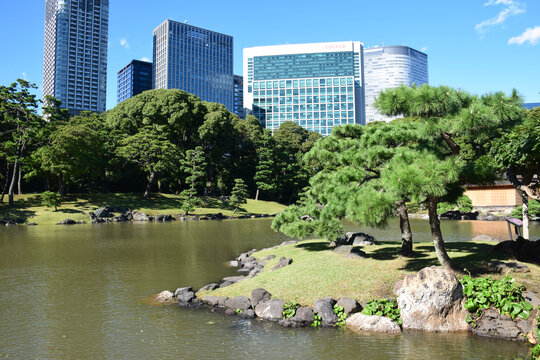 日本东京滨离宫恩赐庭园风景