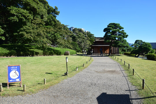 日本东京滨离宫恩赐庭园风景