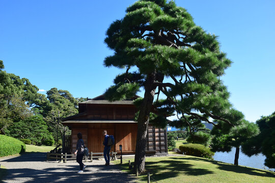 日本东京滨离宫恩赐庭园风景