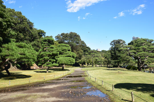 日本东京滨离宫恩赐庭园风景