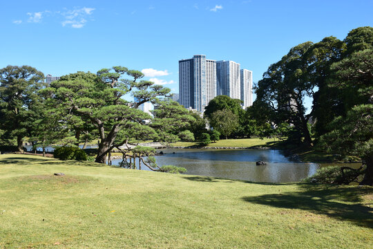 日本东京滨离宫恩赐庭园风景