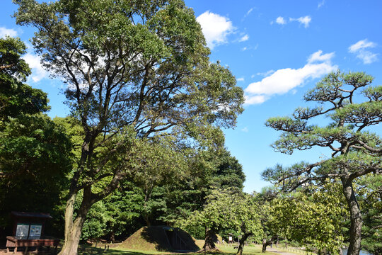 日本东京滨离宫恩赐庭园风景