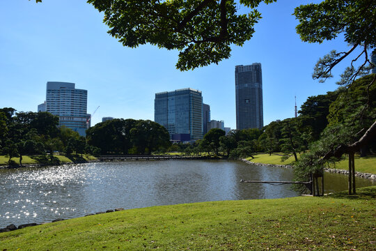 日本东京滨离宫恩赐庭园风景