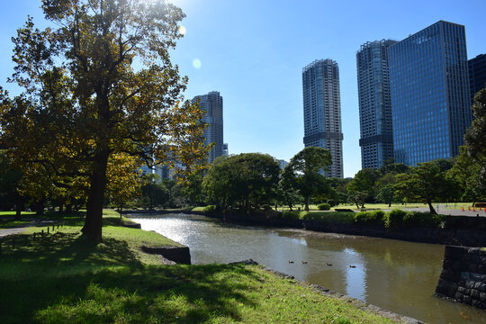 日本东京滨离宫恩赐庭园风景