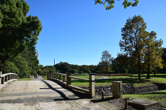 日本东京滨离宫恩赐庭园风景