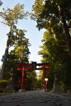 日本神社木制鸟居