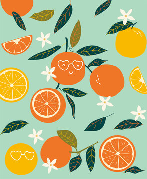 橙子脐橙包装手绘扁平矢量插画