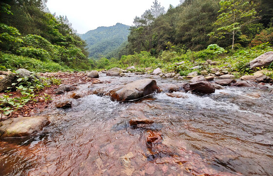 龙源山间溪流