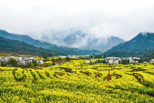 美丽乡村